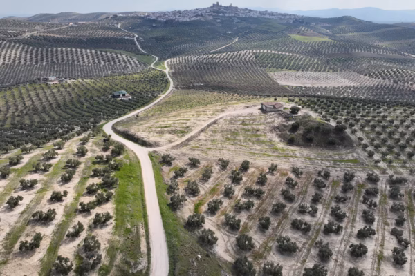 DJI_20260301131157_0011_V DJI_20260301131157_0011_V